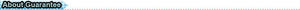 Fishing Bag Multifunctional Camouflage Fishing Tackle Bag Carp Fish Rod Waist Bag Bait Box Pouch Polyester Case Pack For Pesca